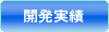 開発実績